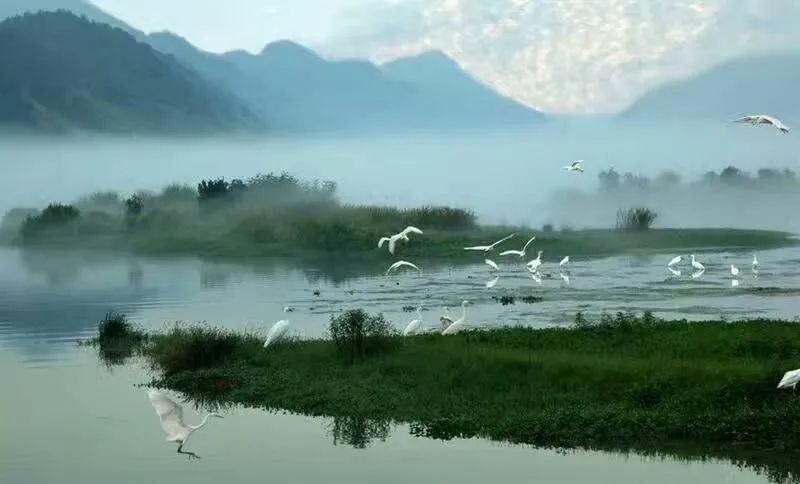 禅师法语-渡江一苇浪花飞