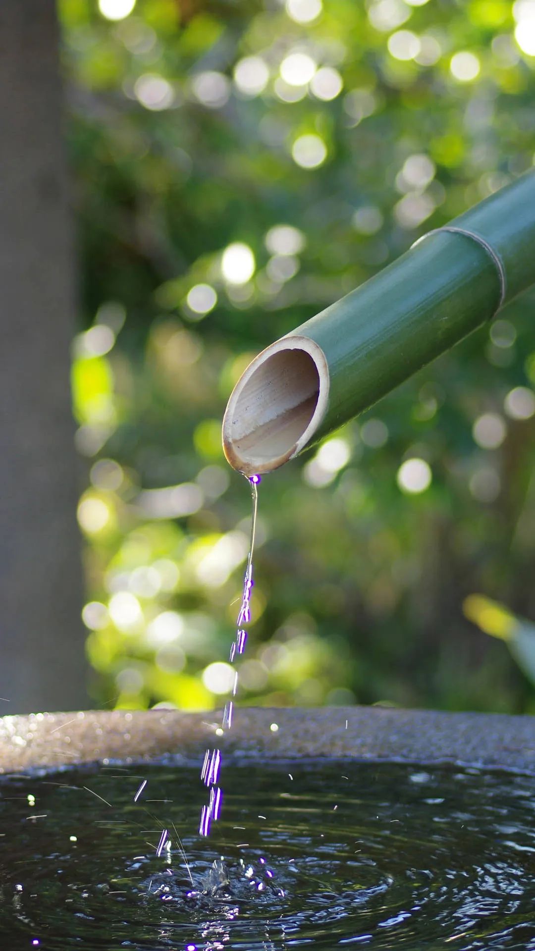 《佛陀医话》金刚摩尼药